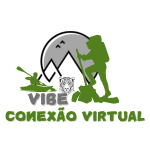 Vibe Conexão Virtual